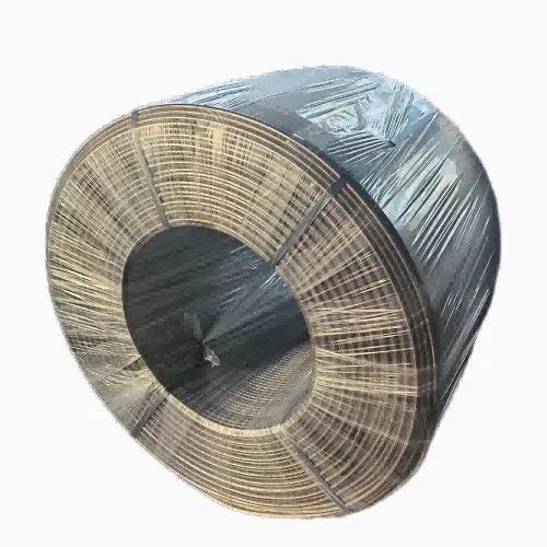 CaSi کورڈ وائر