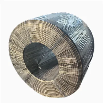 CaSi کورڈ وائر